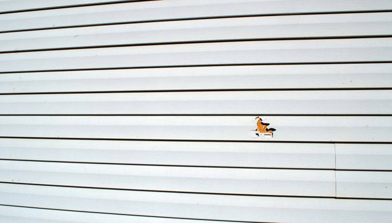 Patch Repair on Vinyl Siding