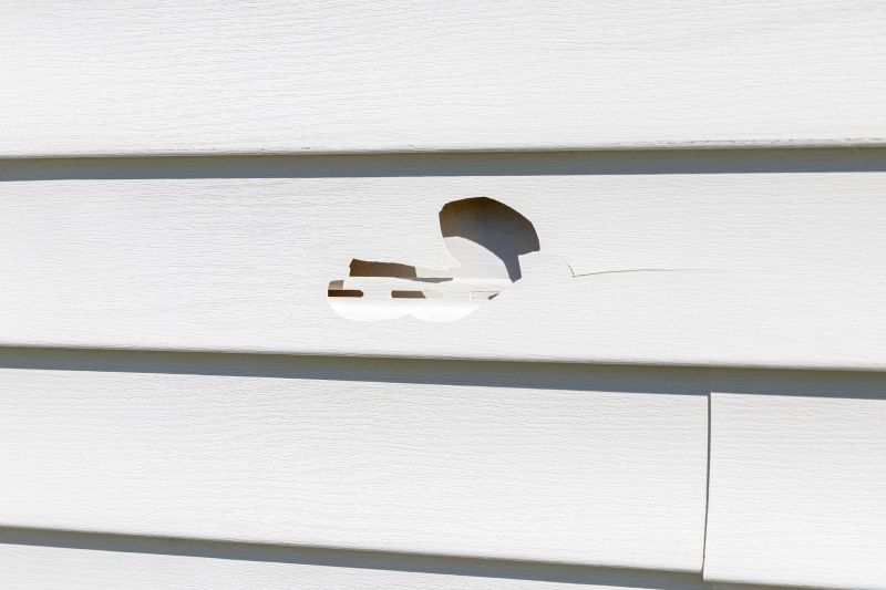 Crack Repair on Vinyl Siding